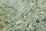 Polished Rainforest Jasper (Rhyolite) Slab - Australia #221931-1